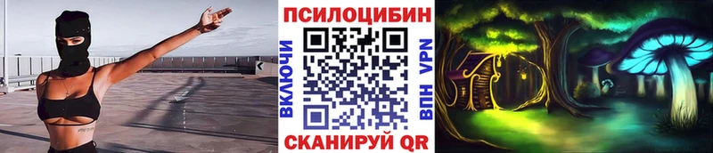 Купить где  Александровское  Псилоцибиновые грибы мухоморы 